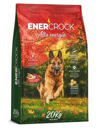 Enercrock Alta Energía
