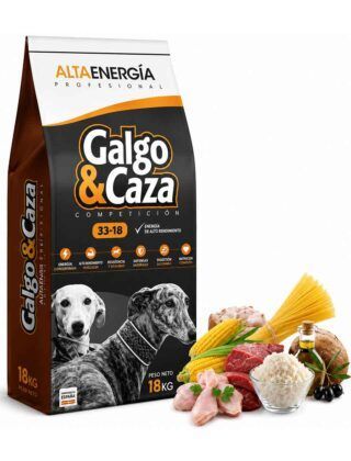 Galgo y Caza - Competición